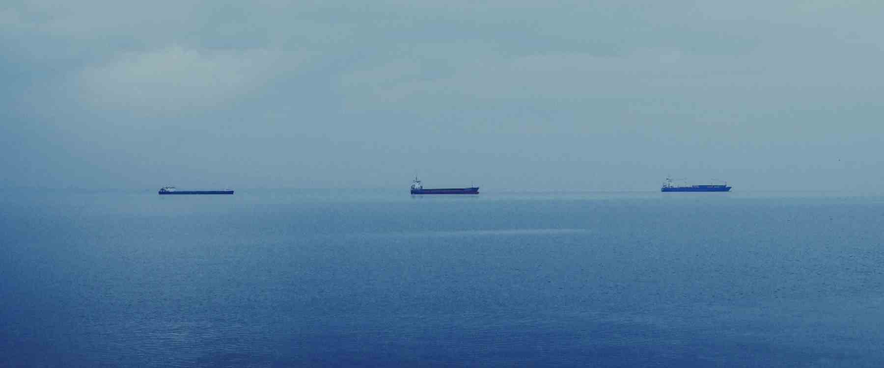 Three cargo ships on the sea in the distance)